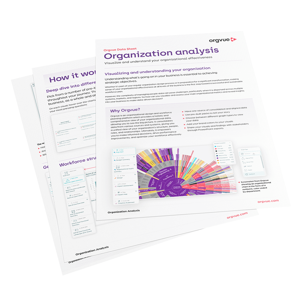 Preview of the Orgvue data sheet titled 'Organization Analysis'. By clicking on this image, users will be directed to the full Organization Analysis data sheet.